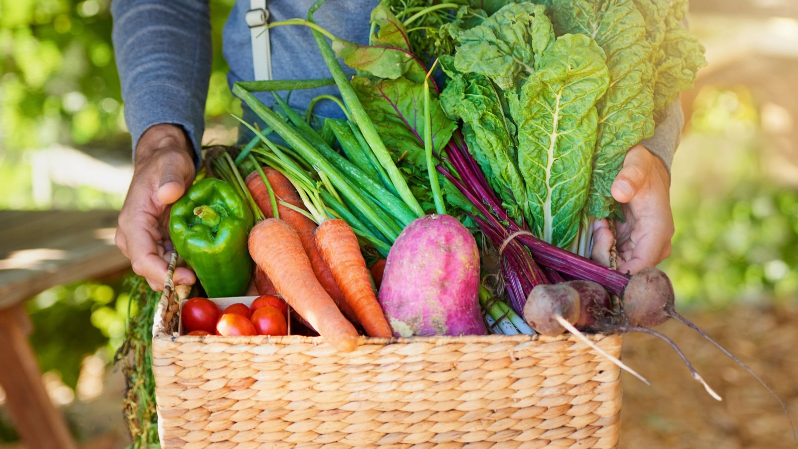 Freshly picked vegetables, reflecting Novotel's sustainable eating principles
