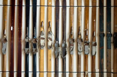 Pre-loved skis arranged in a horizontal row
