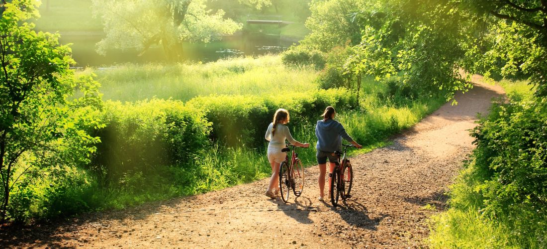 A Summer Journey's Pause