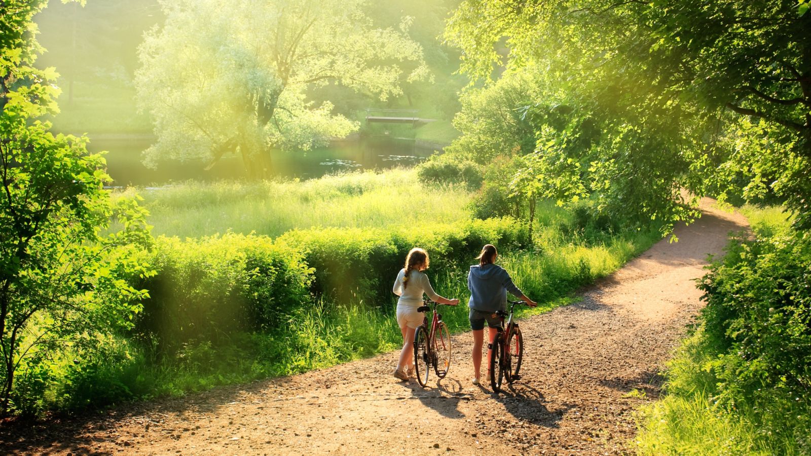 A Summer Journey's Pause