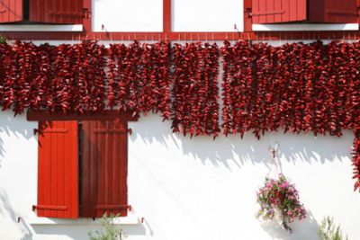 Red peppers drying against a whitewashed wall in Espelette, French Basque Country