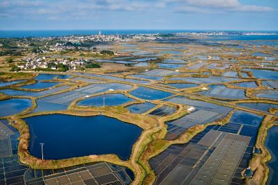 Marais salants de Guérande en Loire-Atlantique