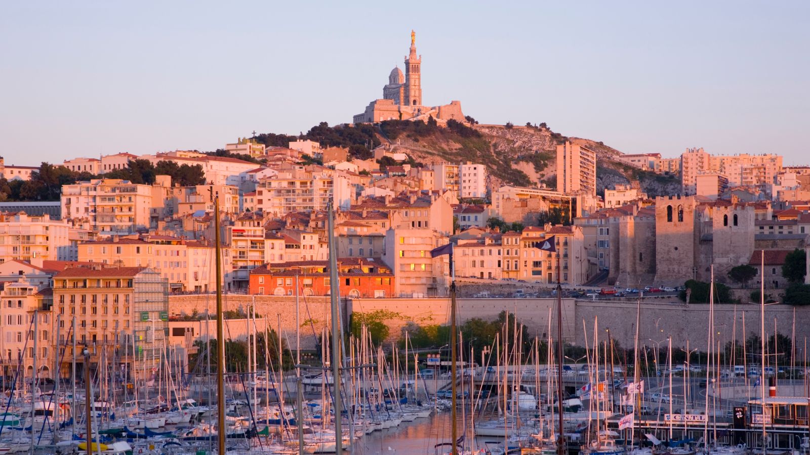 Edinburgh/fringe/festival