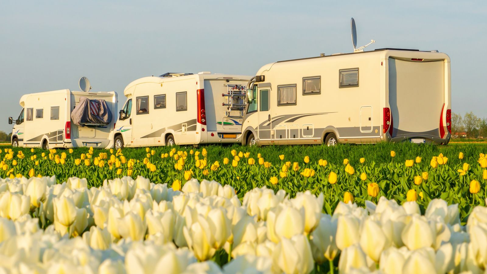 Edinburgh/fringe/festival