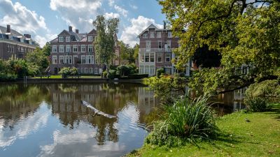 Vondelpark, eine grüne Oase in Amsterdam, mit Graureiher