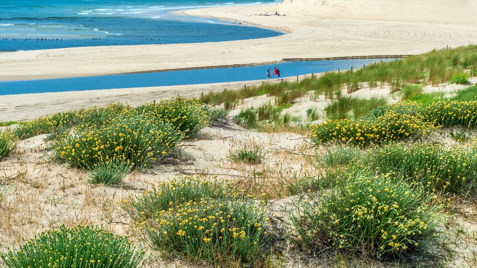 Seaside Stroll: Courant d'Huchet, Moliets-et-Maa