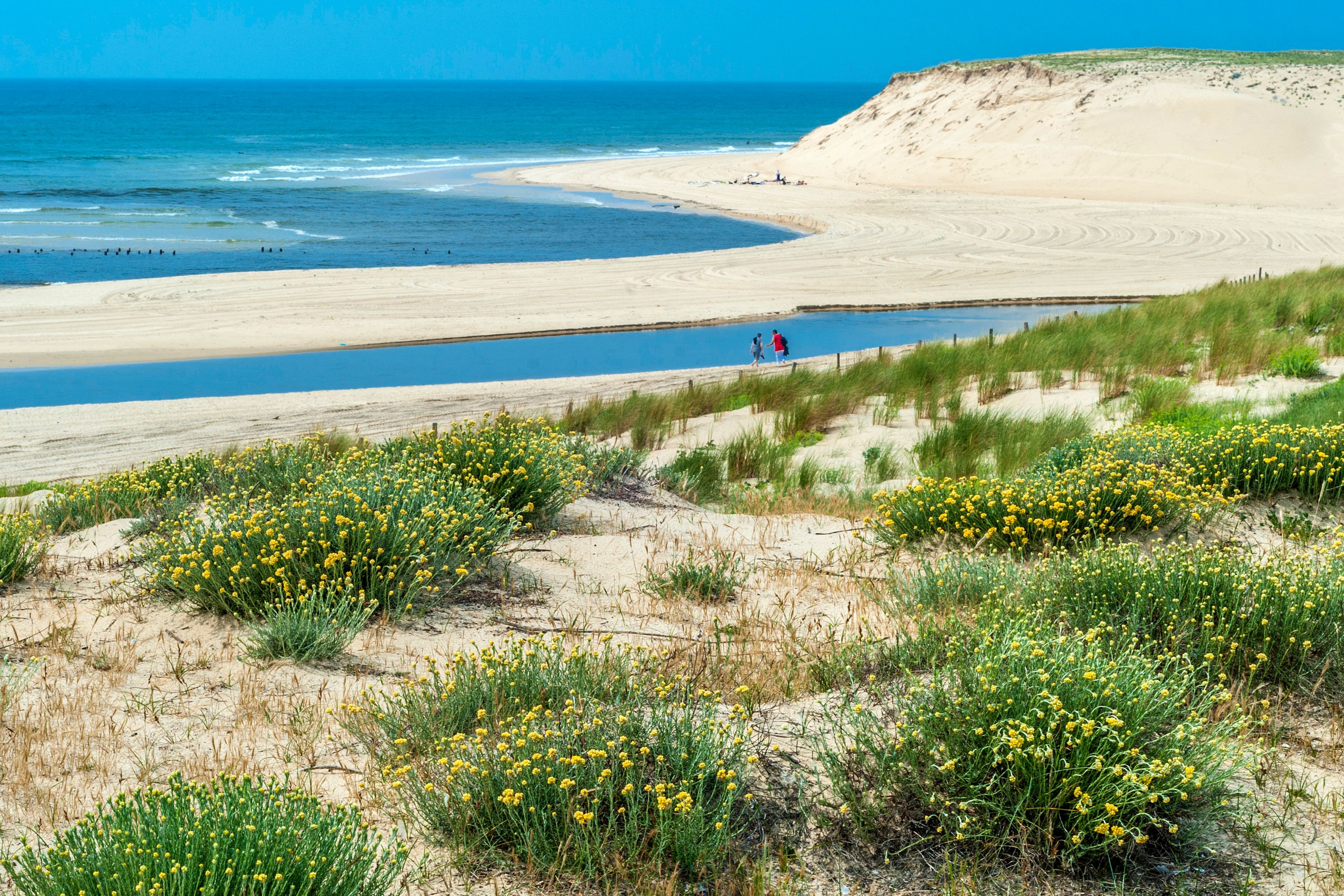 Seaside Stroll: Courant d'Huchet, Moliets-et-Maa