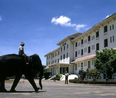 Elephant Arrival at a Hotel