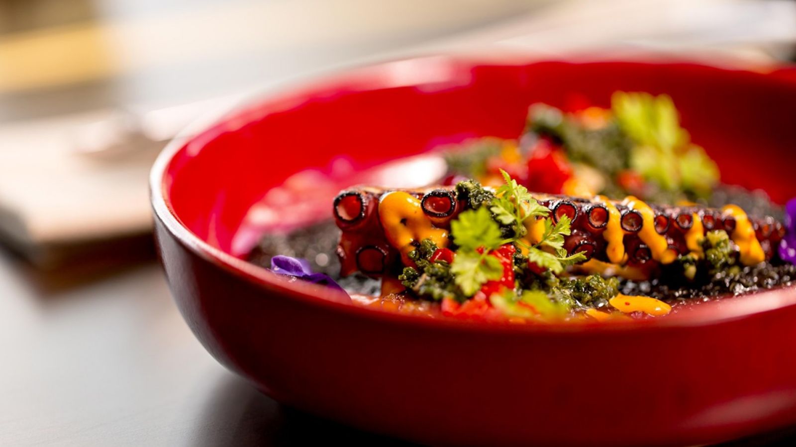 Sofitel Dubai Downtown - United Arab Emirates