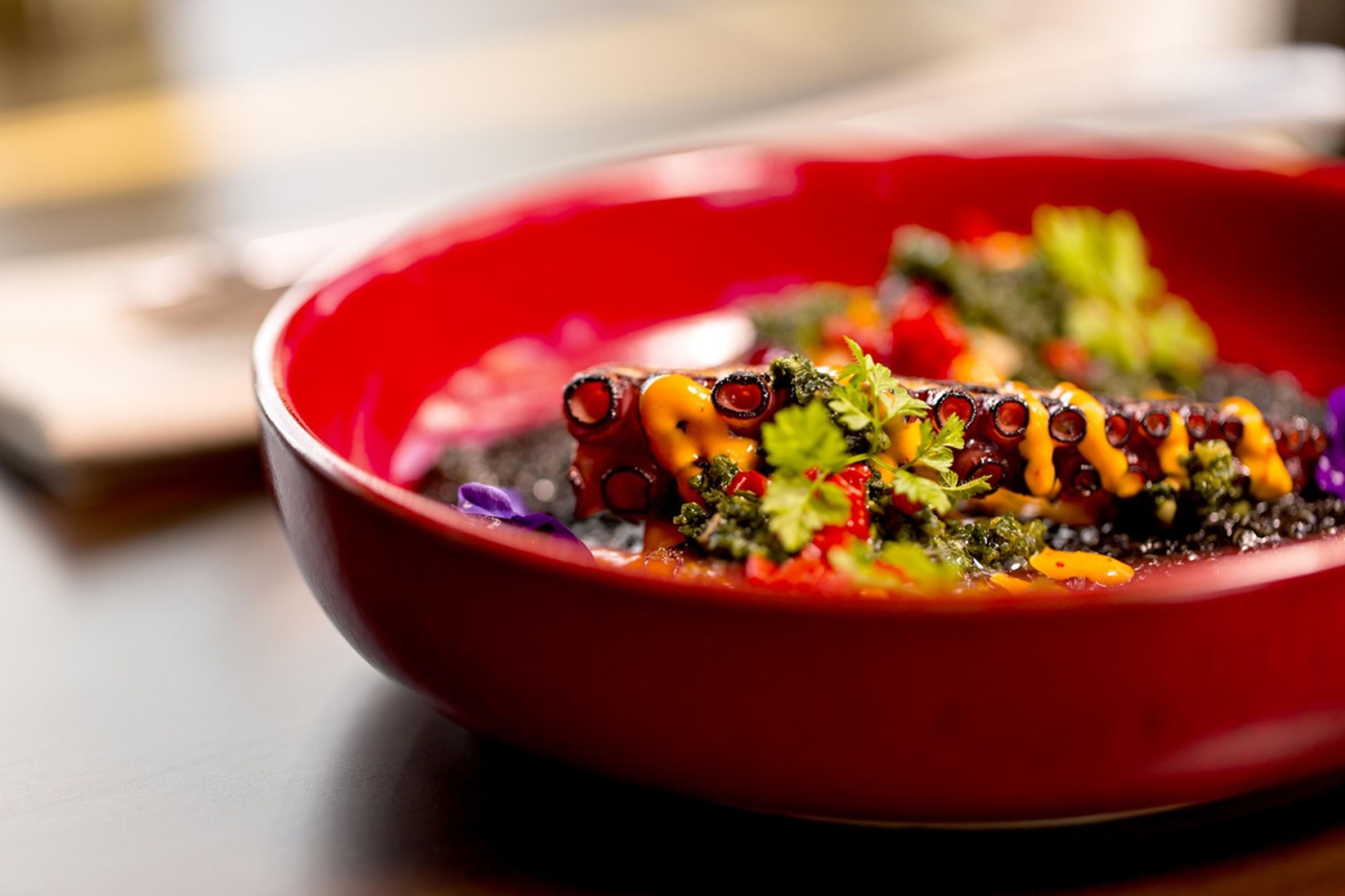 Sofitel Dubai Downtown - United Arab Emirates