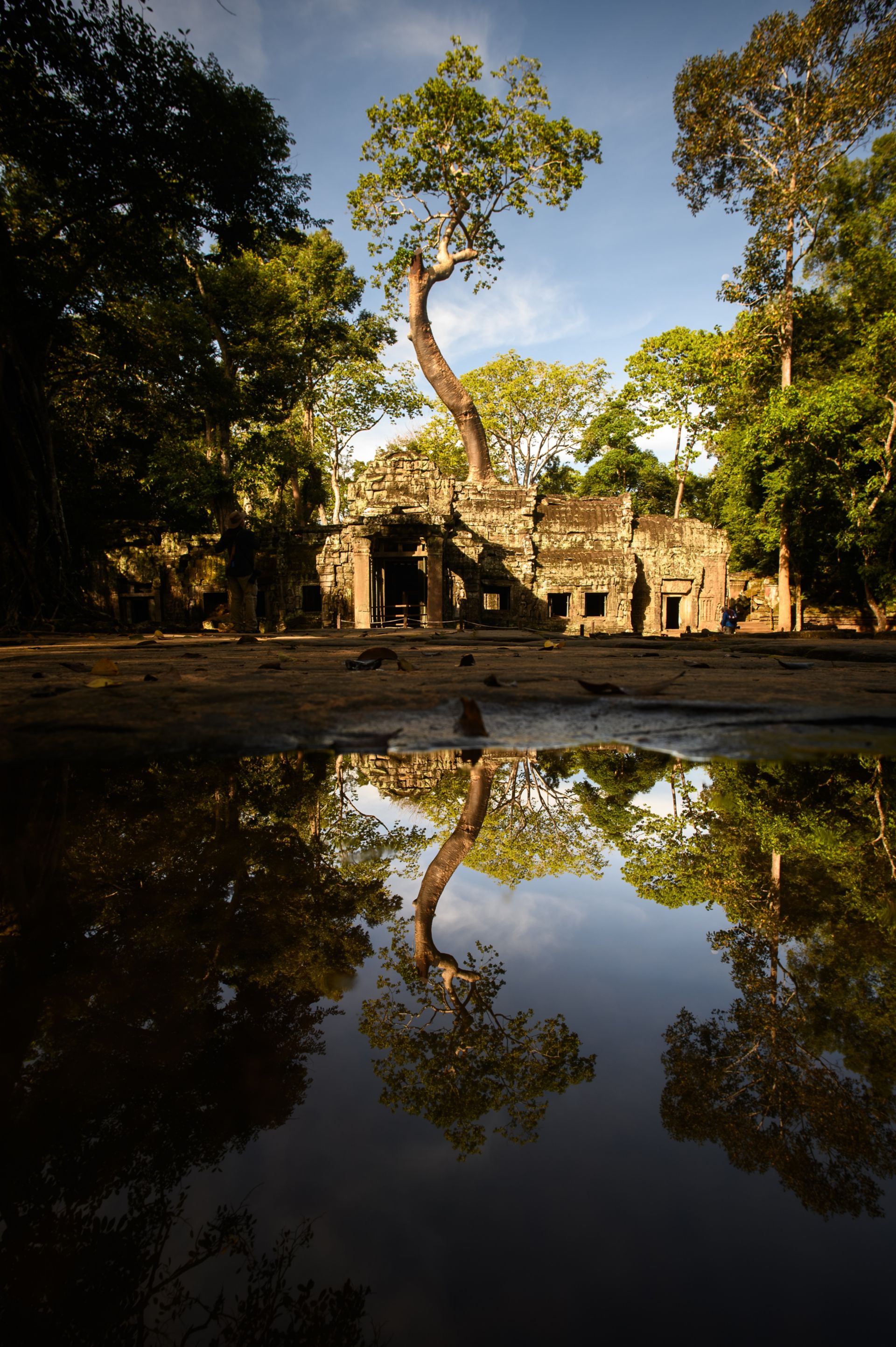 Reflexionen von Angkor 