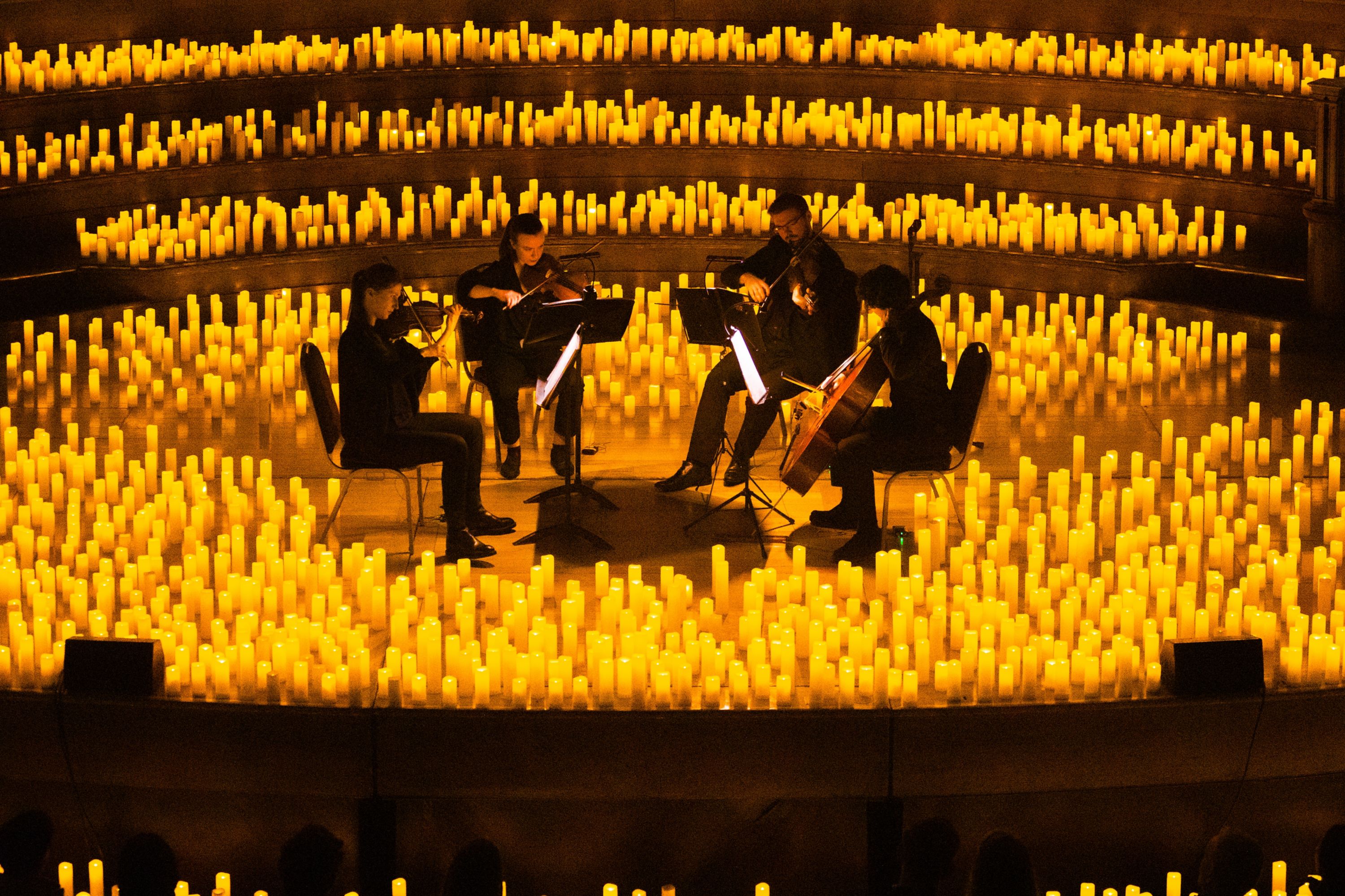 Sofitel Dubai The Palm - United Arab Emirates