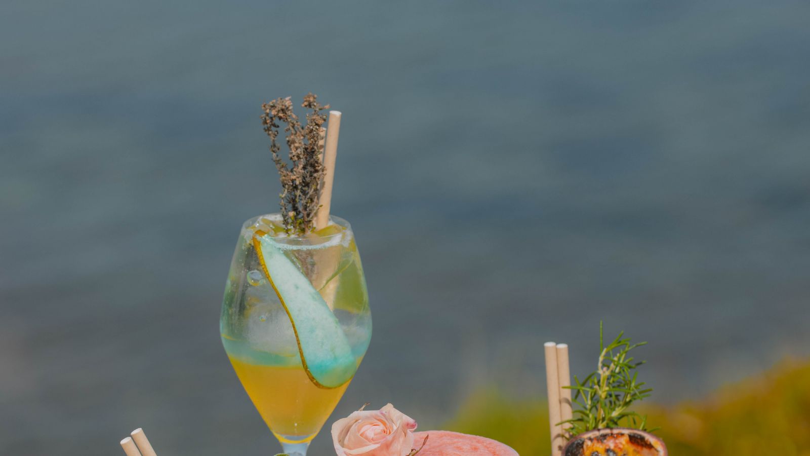 Sofitel Golfe d'Ajaccio Thalassa sea & spa - France