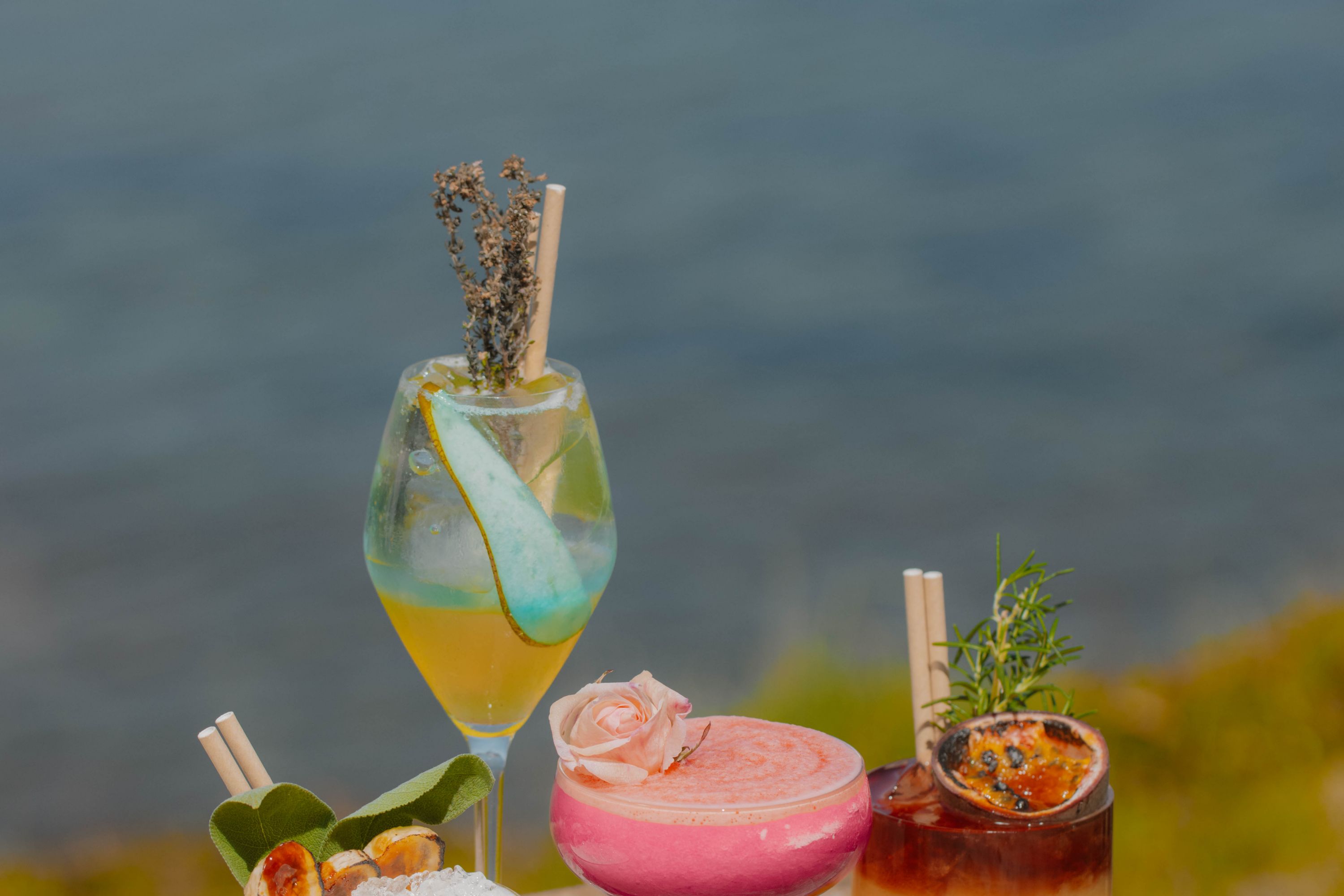 Sofitel Golfe d'Ajaccio Thalassa sea & spa - France