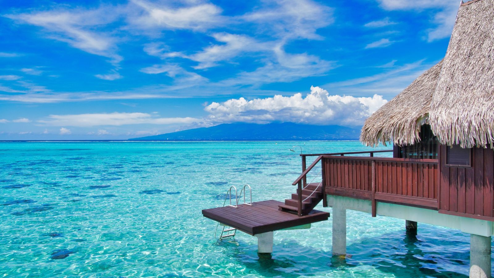 Overwater Bungalow in a Tropical Paradise