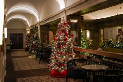 hallway lined with decoarated christmas trees
