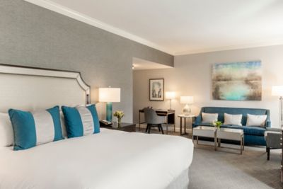 Grand one bedroom suite