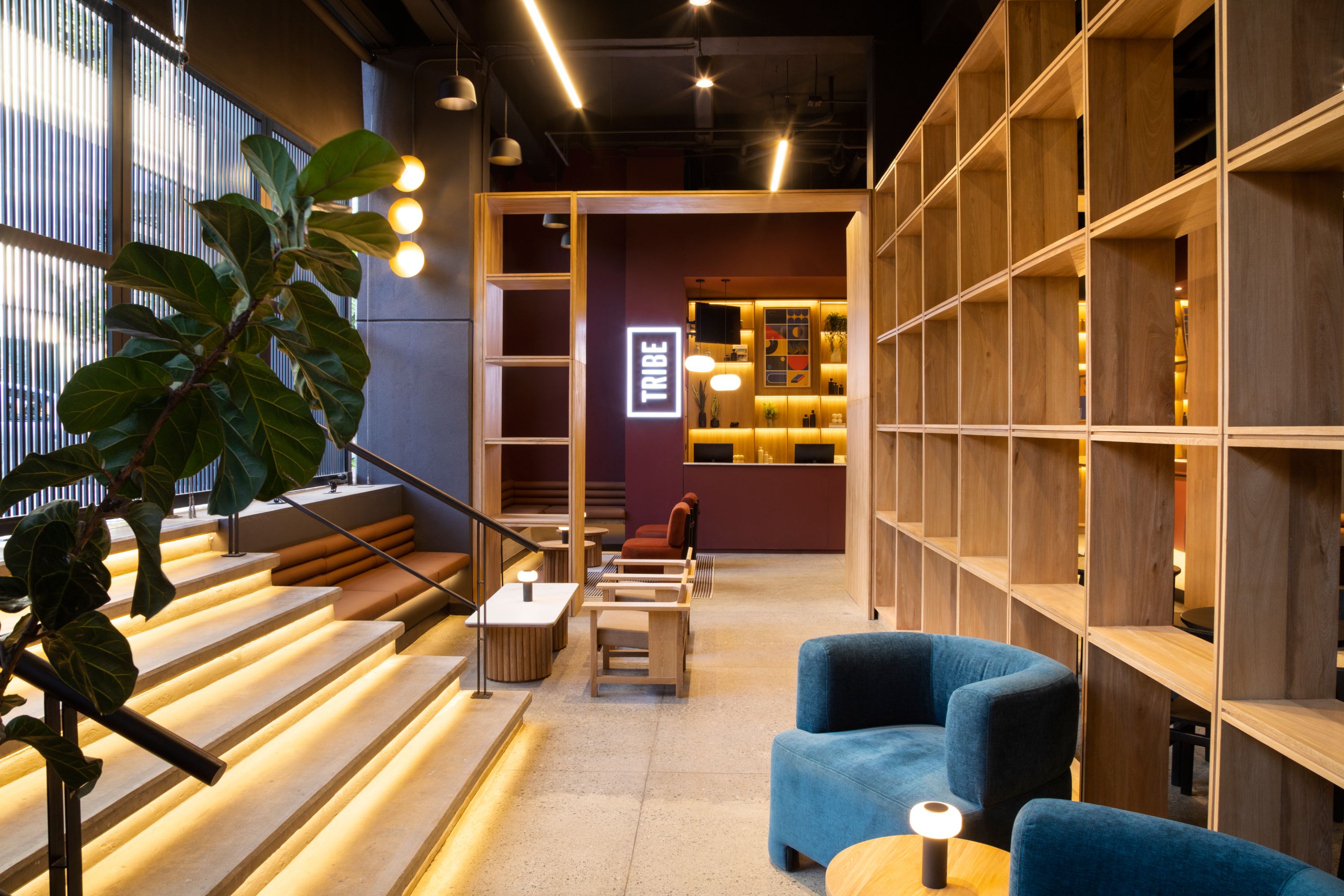 TRIBE Medellín - Colombia