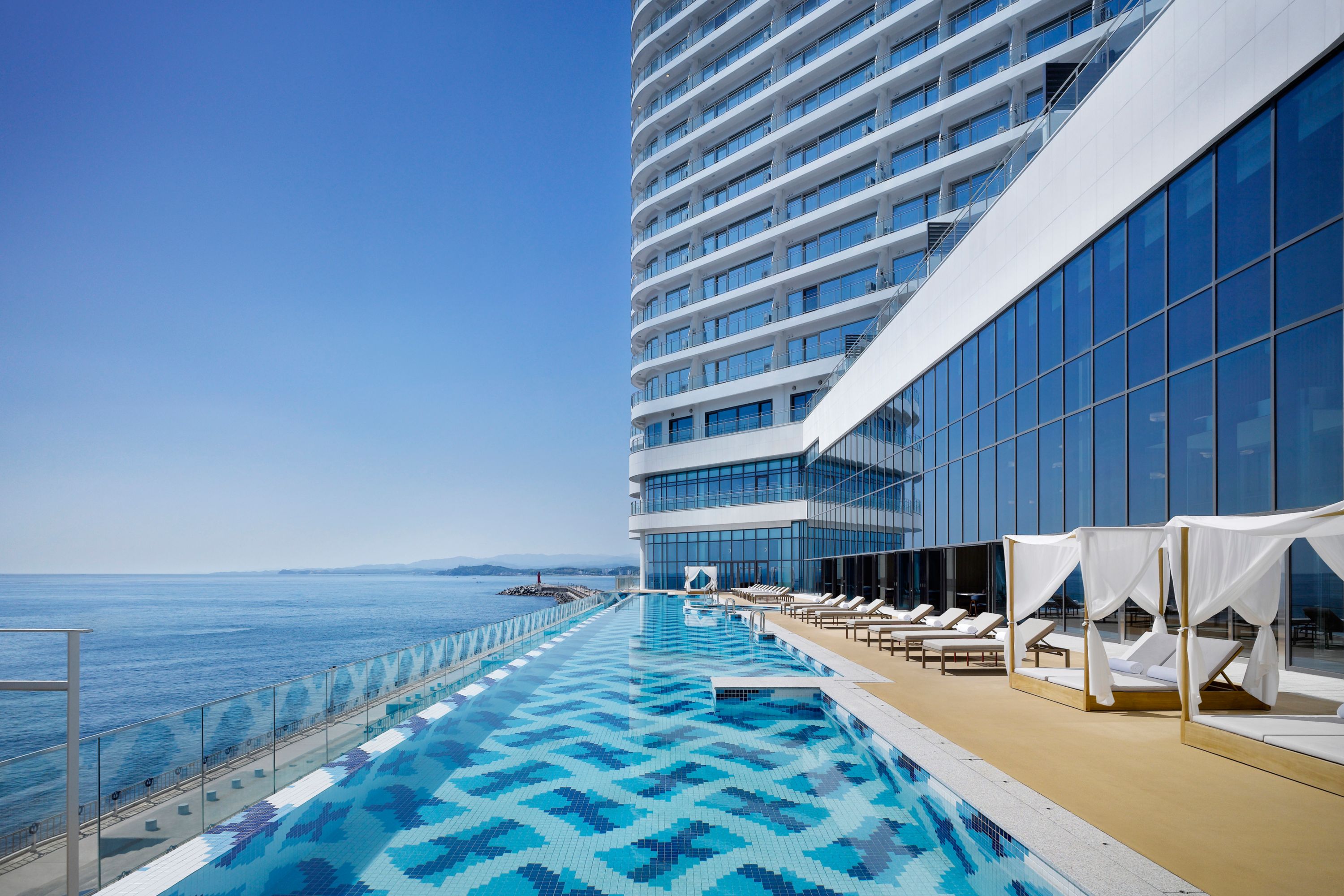 Cassia Sokcho - South Korea