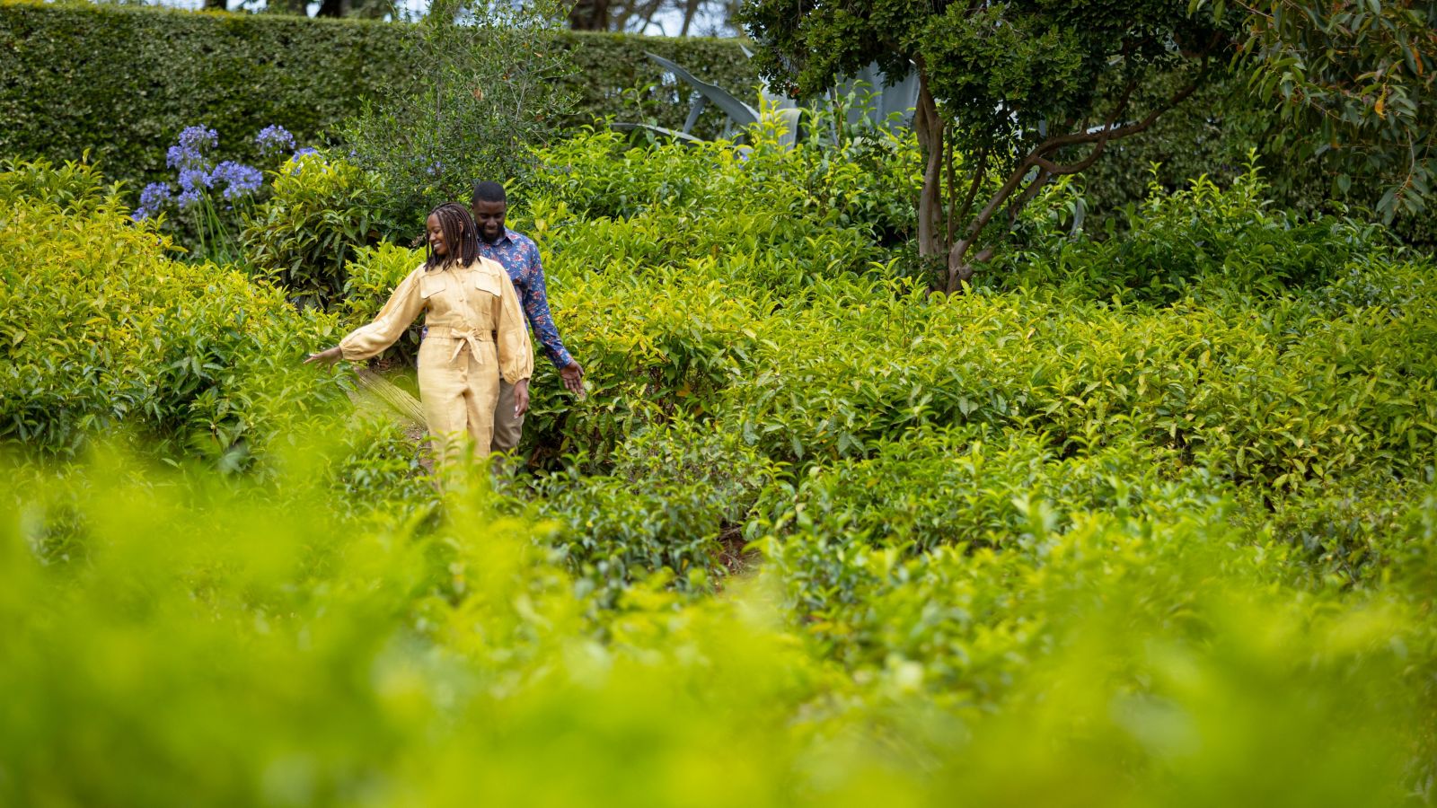 Turismo rural en Colombia