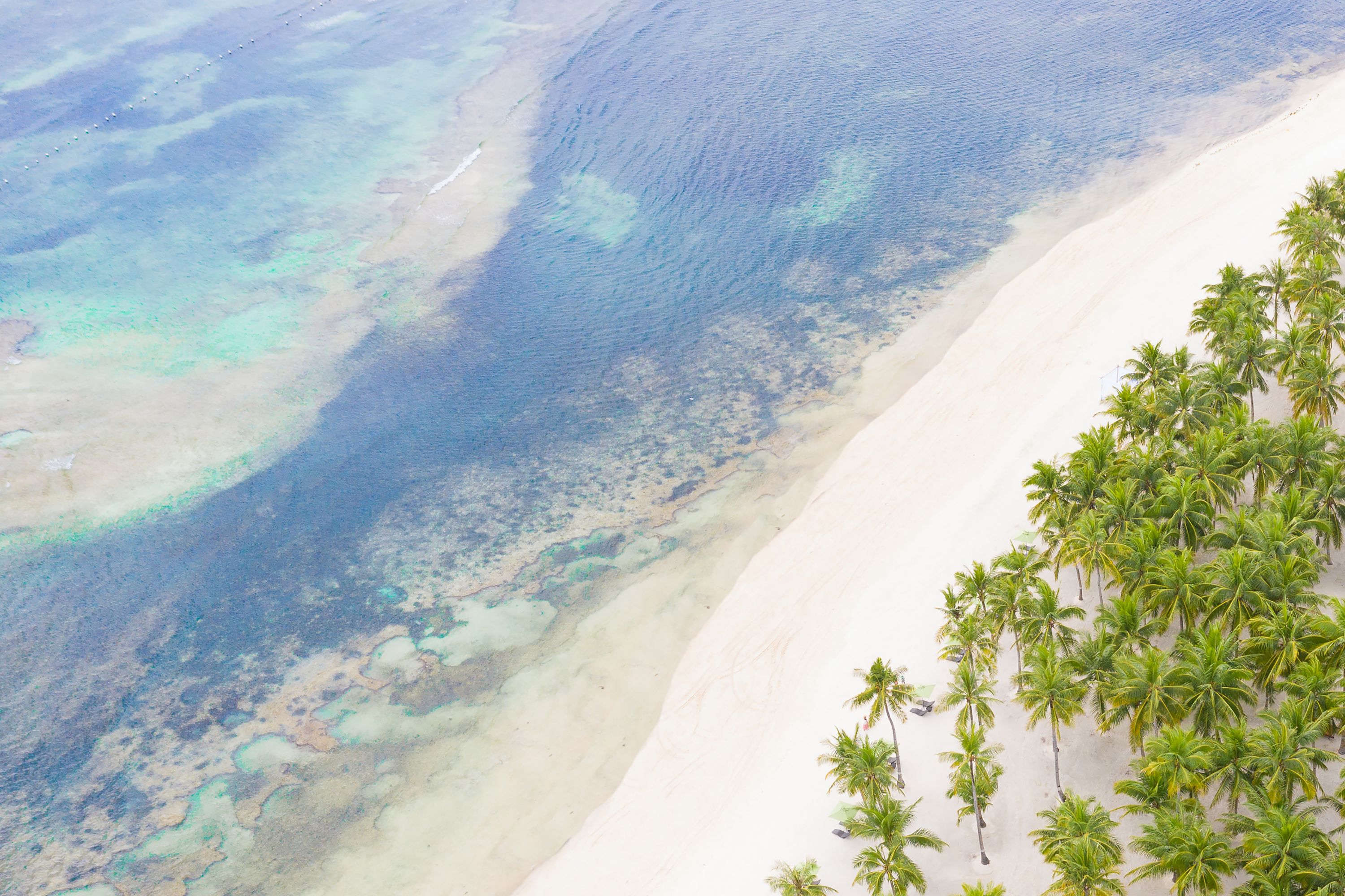 South Palms Resort and Spa Panglao - MGallery Collection - Philippines