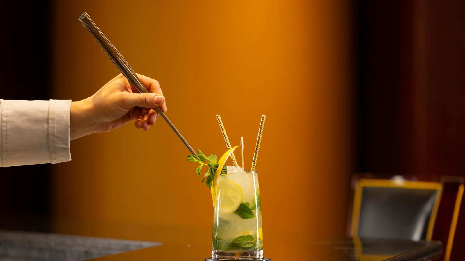 Cocktail Hour at Sofitel Algiers Hamma Garden
