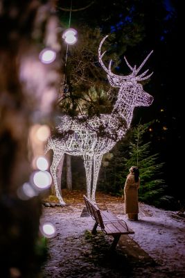 Whistler Christmas celebrations 