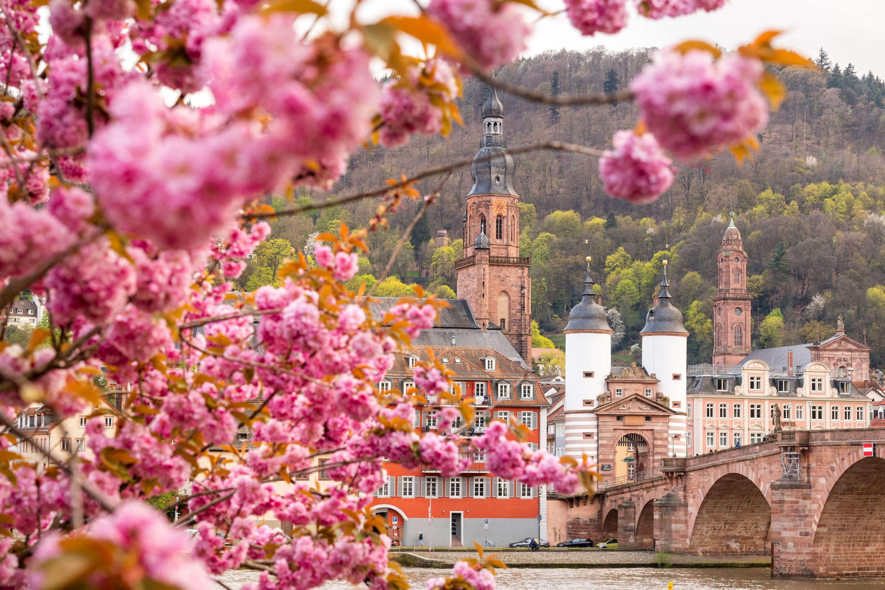 ibis Heidelberg Hauptbahnhof - Germany