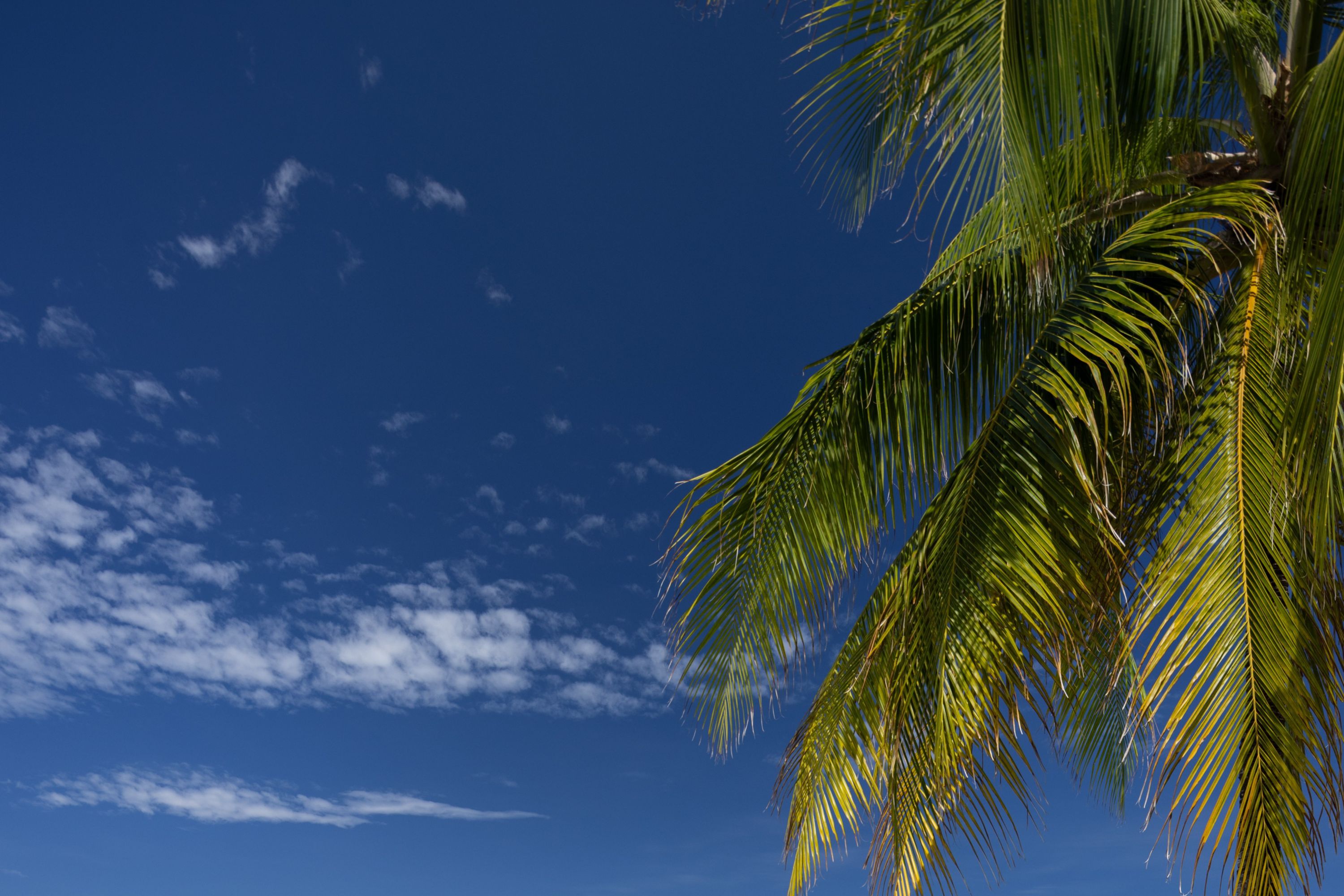 V Villas Maldives at Mirihi - MGallery Collection - Maldives