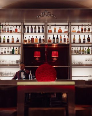 LeRoyalMonceau_RafflesParis_LeBarLong