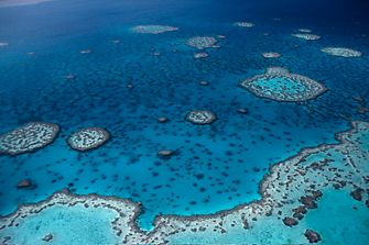 Corals (Corals); Great Barrier Reef Marine Park, Queensland, Aus