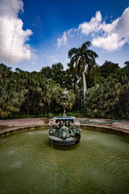 Serene Oasis: Fountain and Lush Greenery