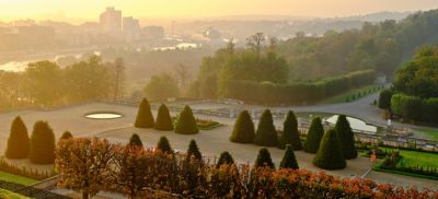 Sculpted topiary in the Saint-Cloud estate, Paris, in the misty glow of sunrise