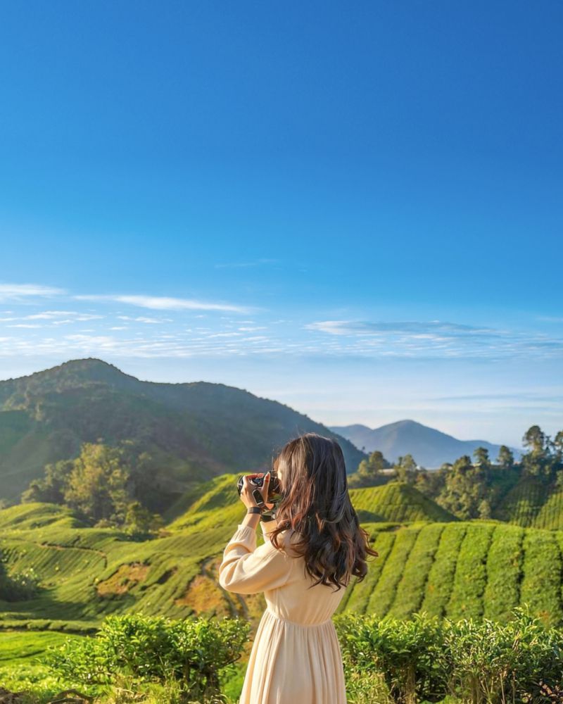 会员礼遇惊喜加「马」折上再享88折