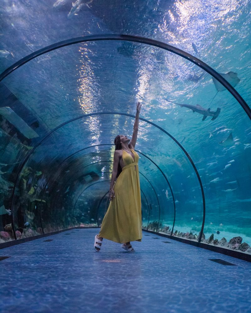 Dubai, United Arab Emirates