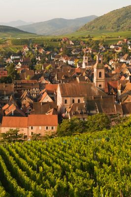 Village de Riquewihr en Alsace, depuis le vignoble