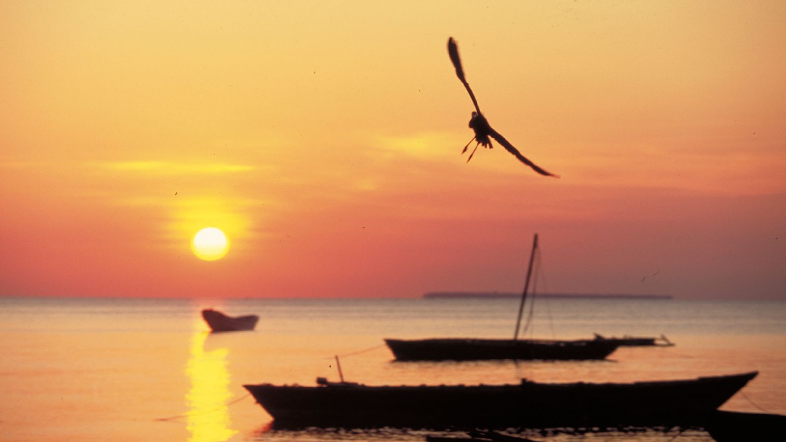 Destination  - Tanzania