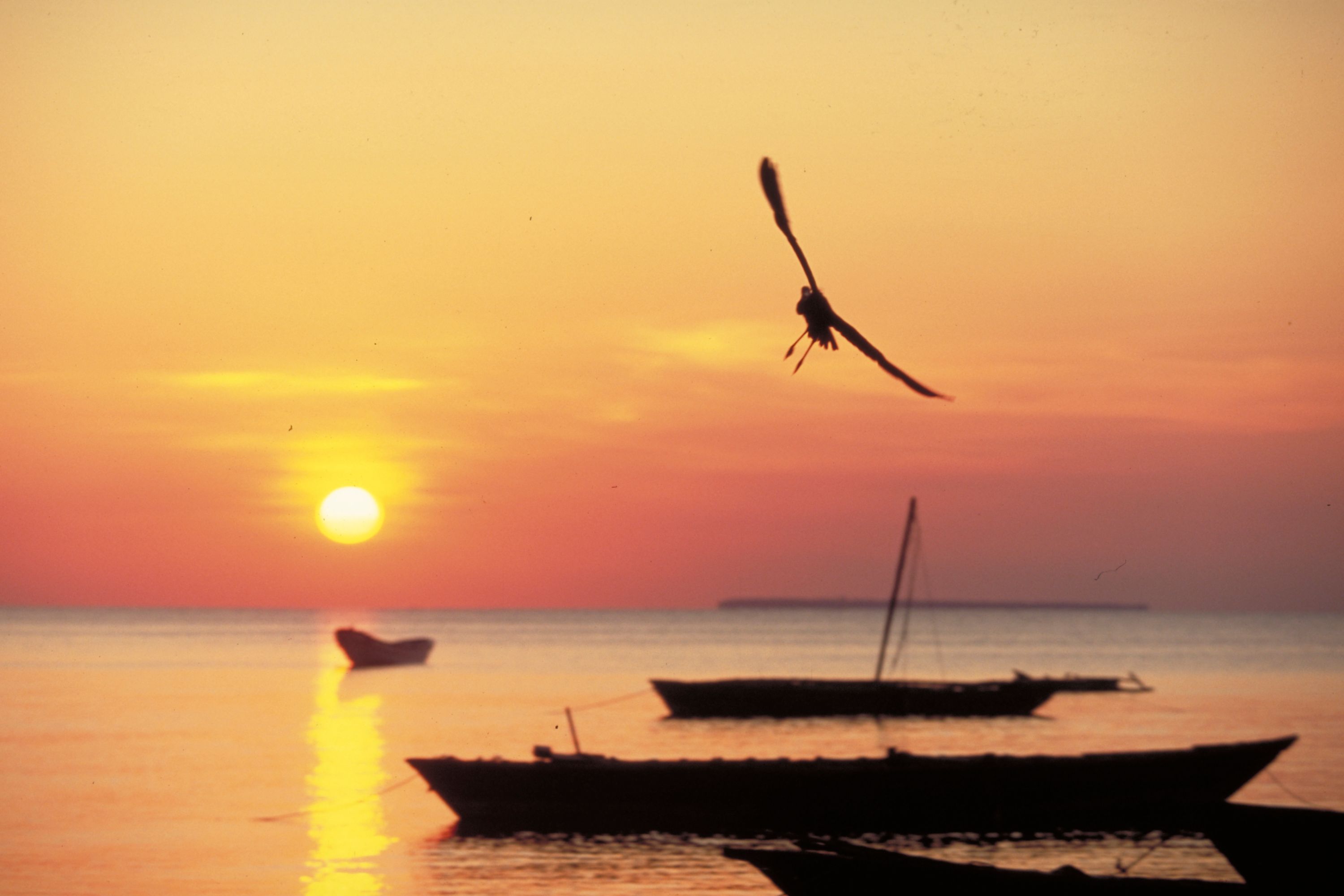 Destination  - Tanzania