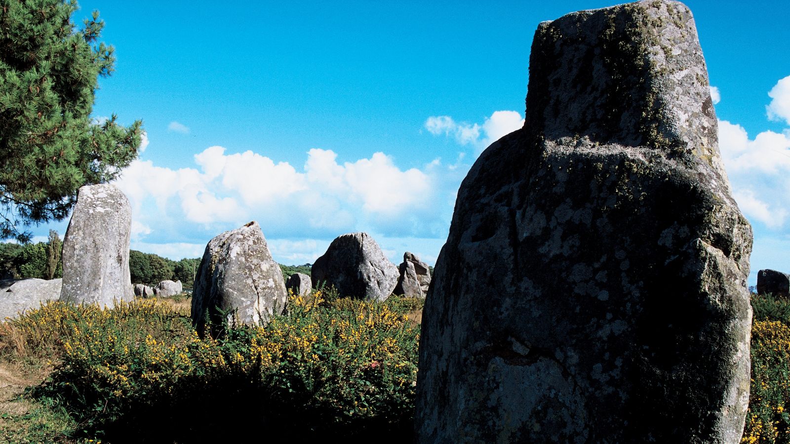 Destination Carnac - France