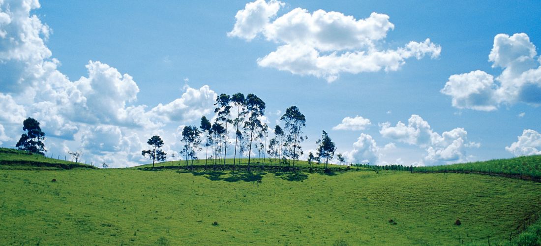 Destination  - Brazil