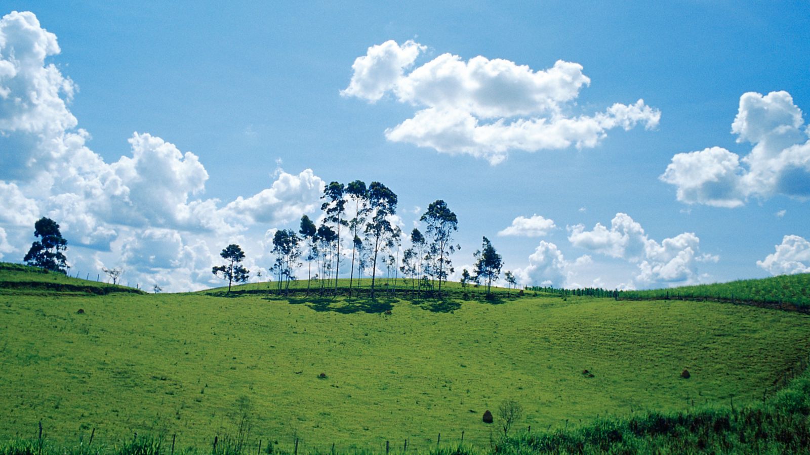 Destination  - Brazil