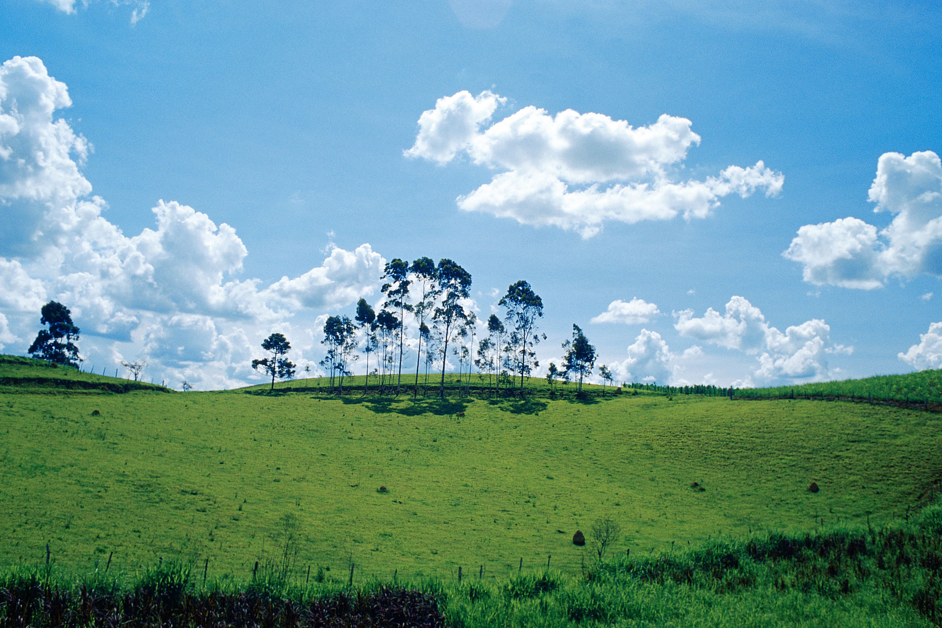 Destination  - Brazil