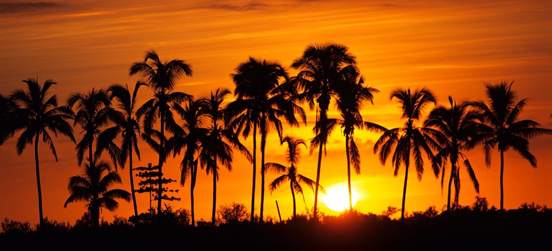 Destination Saint-Denis - Reunion Island