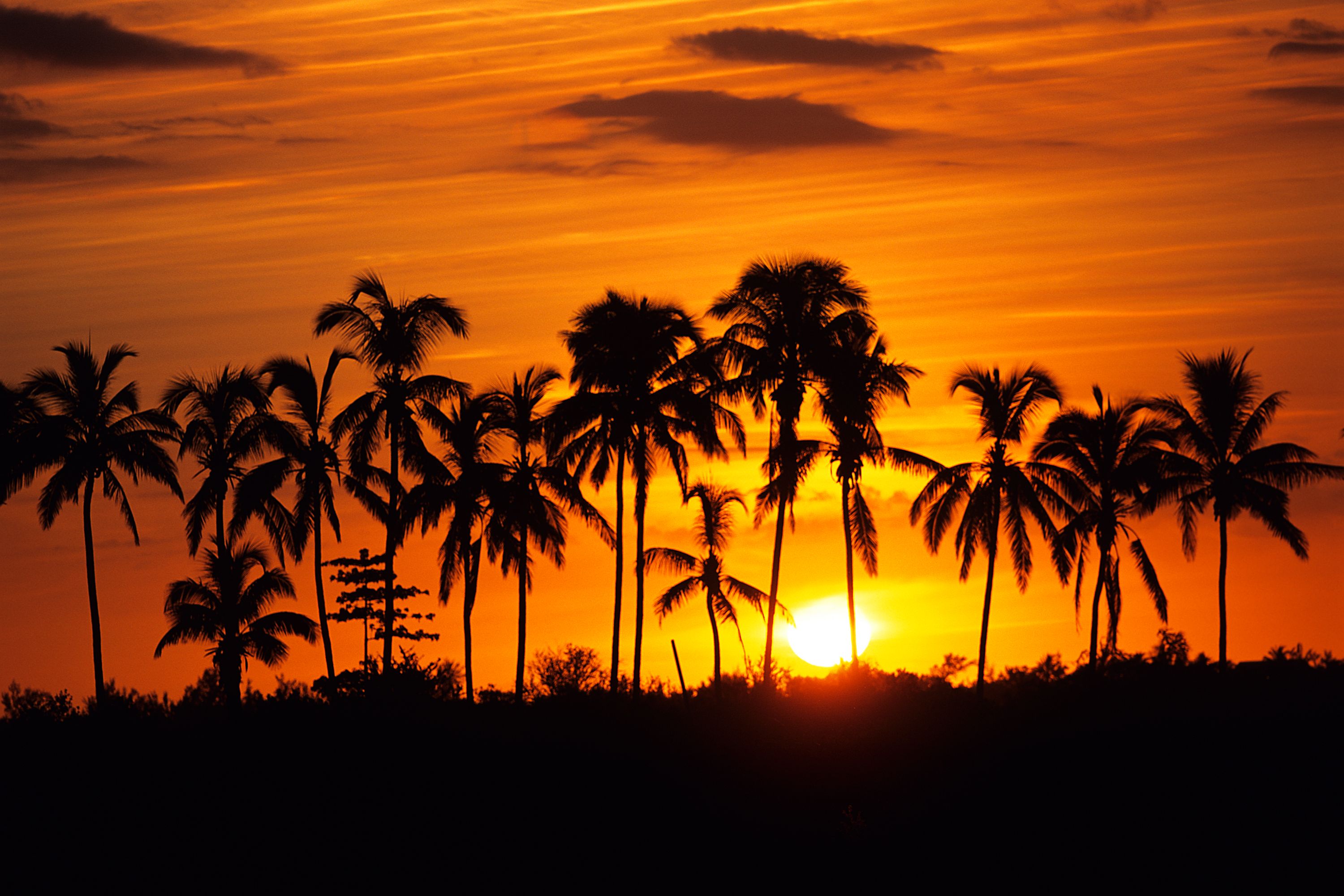 Destination Saint-Denis - Reunion Island