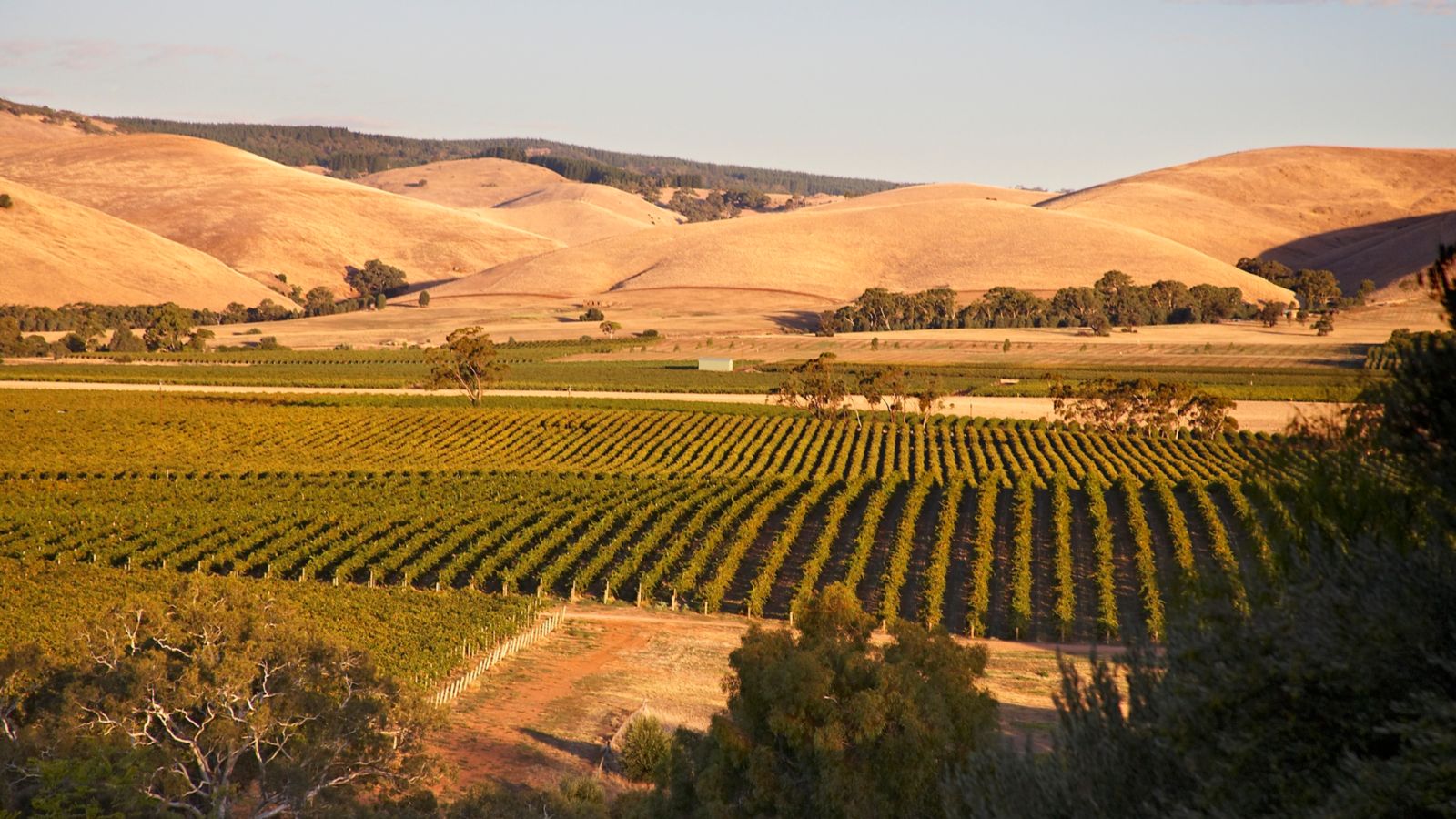 Barossa Valley, South Australia
