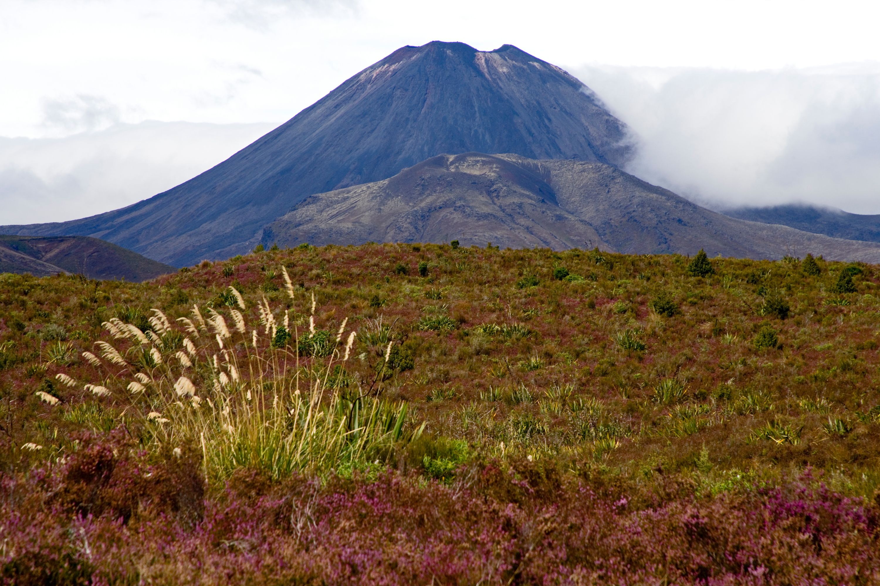 Hotels in Lake Tekapo, New Zealand 