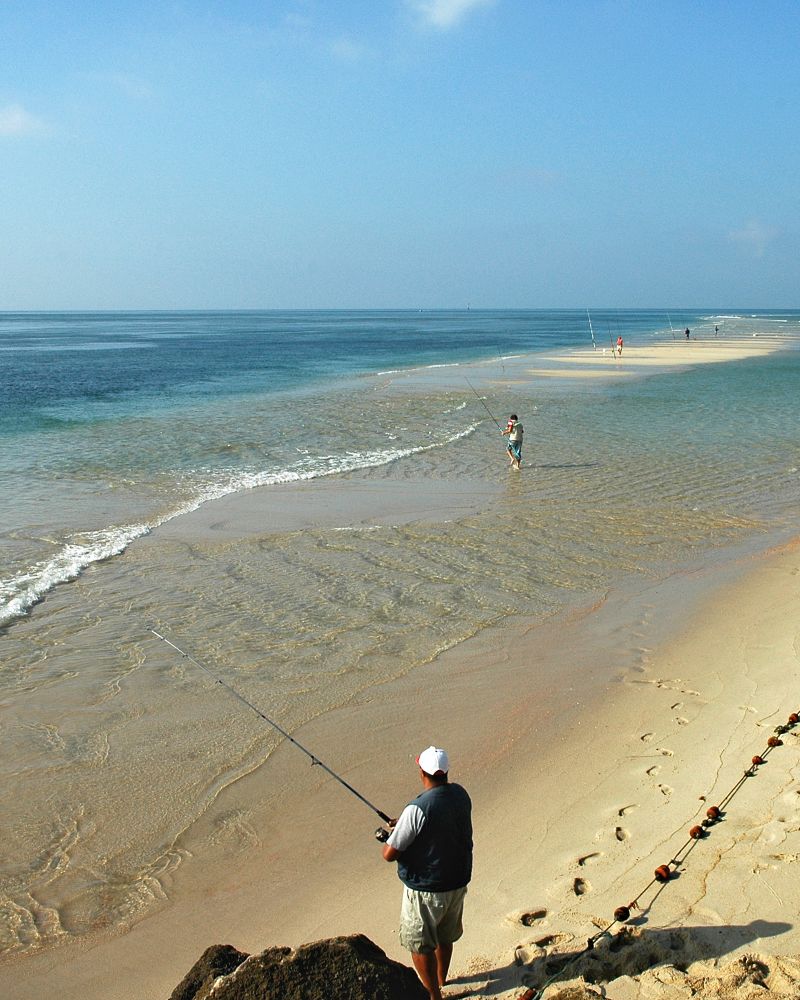 Destination Setùbal - Portugal