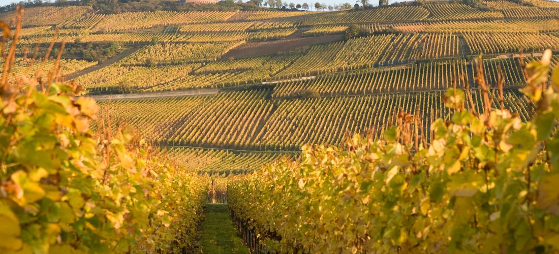 Destination Colmar - France