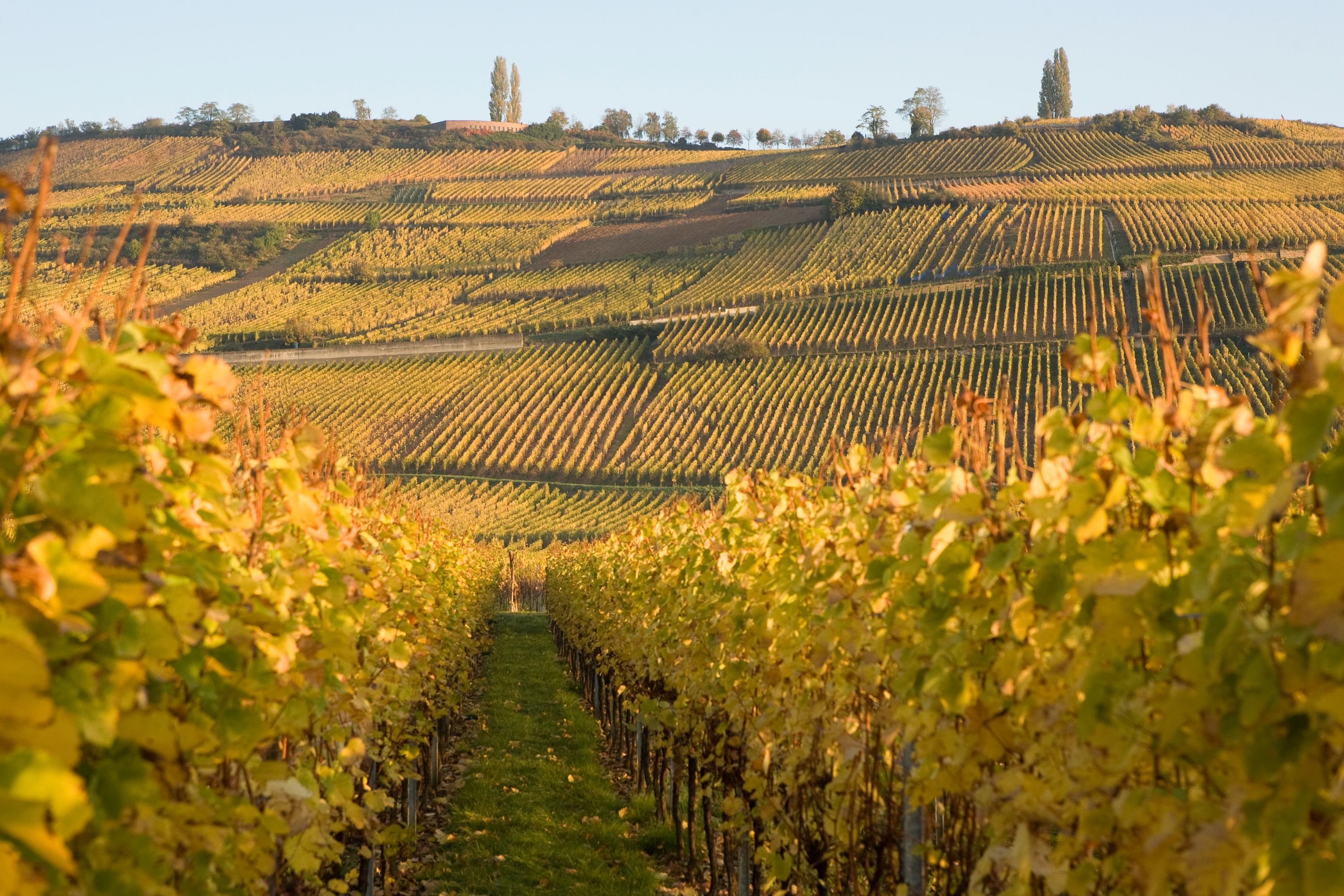 Destination Colmar - France