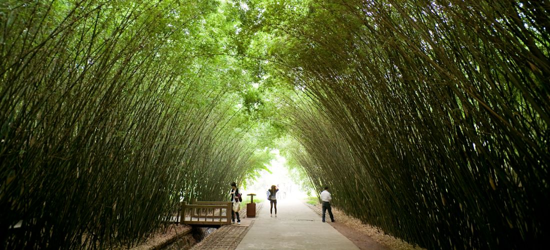 Destination Chengdu - China